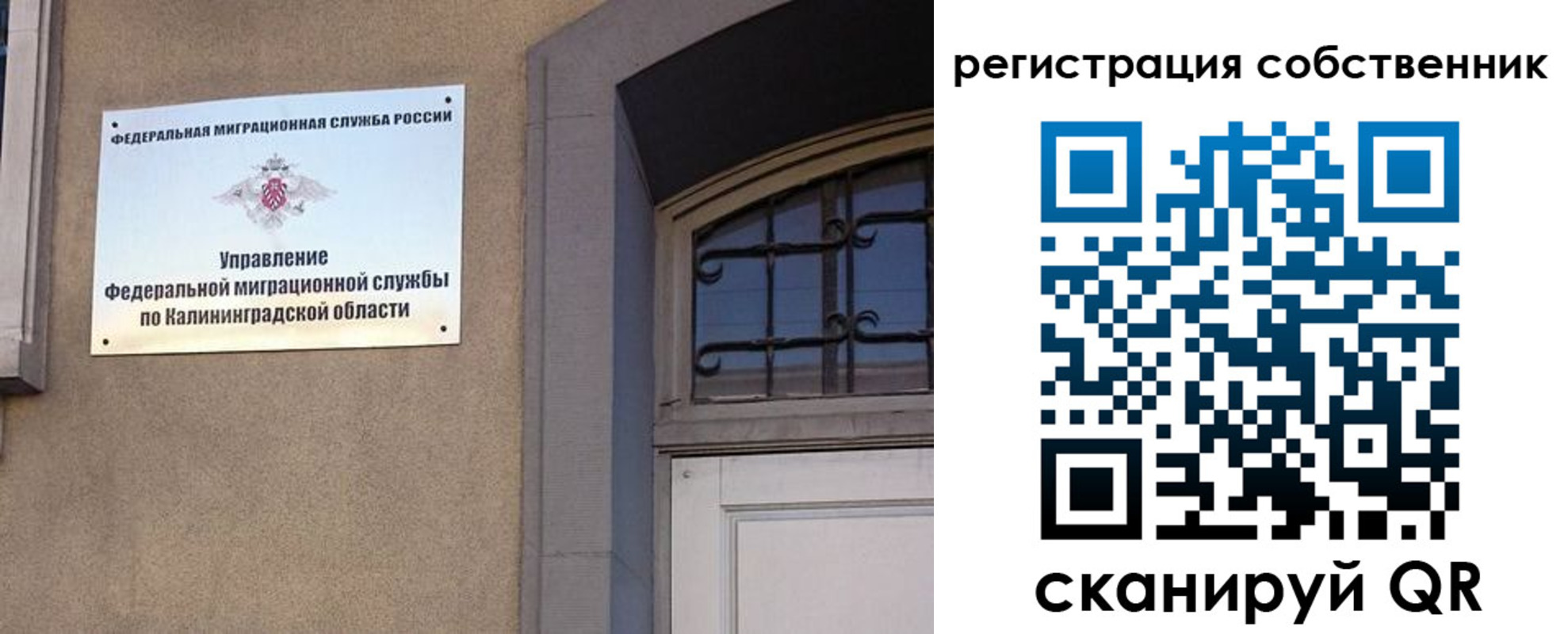 прописка паспорт в Ковылкино